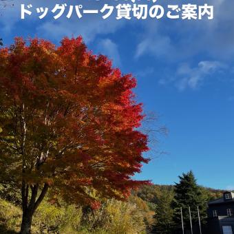 ドッグパーク貸切のお知らせ